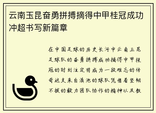 云南玉昆奋勇拼搏摘得中甲桂冠成功冲超书写新篇章 云南玉昆奋勇拼搏摘得中甲桂冠成功冲超书写新篇章